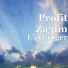Profit Za3im feat. Mourad Majjoud
