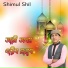 Shimul Shil