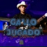 Jose Villarreal