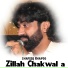 Shafeeq Bhapoo
