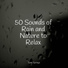 Studying Music, Nature Noise, Kundalini: Yoga