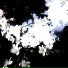 eeency