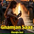 Ghamjin Sazi