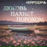 НЕЙРОДИЧЬ