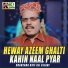 Shahzada Asif Ali Gilani