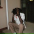 prodboybandz
