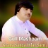 Gull Mashoom