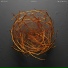 Joep Beving, Polynation