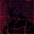 PHONKMAKERMASTERPHONK