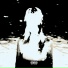 Treight, S1PPY