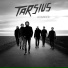 Tarsius