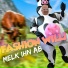 Fashion Willi