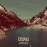 artist nair