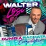 Walter Losi