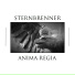 Sternbrenner