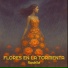 RaedeSol