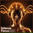 Alexander Focus