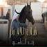 Raad El Nassri, Nasrat Al Bader