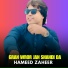 Hameed Zaheer
