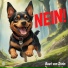 Beat Von Stein