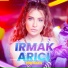 Irmak Arıcı