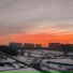 Вечно в кедах