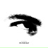 Vision13
