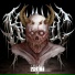 Kill Dyll feat. Gashum