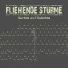 Fliehende Stürme