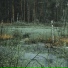 Алексей Седов
