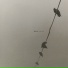 Moab