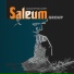 Saleum Group feat. Friend