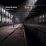 Supertwins feat. Mark Salomon, kp larsen