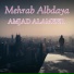 AMJAD ALAMEER