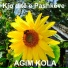 Agim Kola