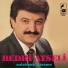 Bedri Ayseli