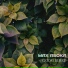 Max Asoka