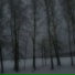 ragesirenn