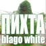 blago white