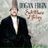 Doğan Ergin