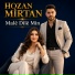 Hozan Mirtan
