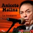 Aniceto Molina