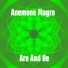 Anemone Magro