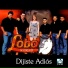 Grupo Lobo De Elías José