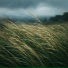 Velune, Прохладный бриз
