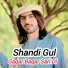Shandi Gul