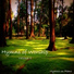 Hymns on Piano