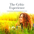 Celtic Meditation Music Specialists