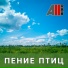 AllVideo