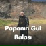 Vüqar Səda